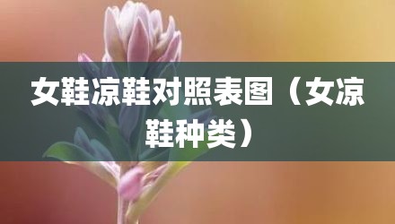 女鞋凉鞋对照表图（女凉鞋种类）