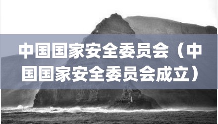 中国国家安全委员会（中国国家安全委员会成立）