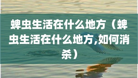 蜱虫生活在什么地方（蜱虫生活在什么地方,如何消杀）