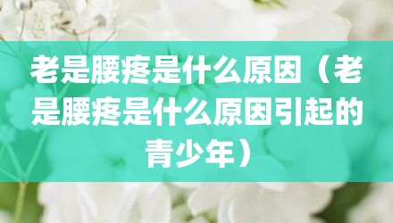 老是腰疼是什么原因（老是腰疼是什么原因引起的青少年）