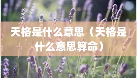 天格是什么意思（天格是什么意思算命）