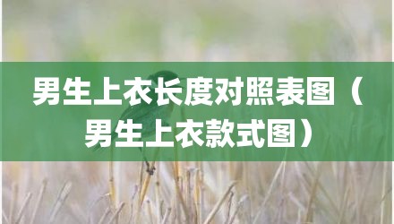 男生上衣长度对照表图（男生上衣款式图）