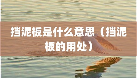 挡泥板是什么意思（挡泥板的用处）