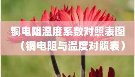 铜电阻温度系数对照表图(铜电阻与温度对照表)
