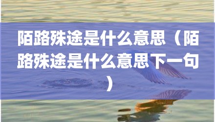 陌路殊途是什么意思（陌路殊途是什么意思下一句）