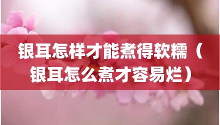 银耳怎样才能煮得软糯（银耳怎么煮才容易烂）