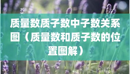 质量数质子数中子数关系图（质量数和质子数的位置图解）