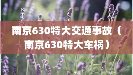 南京630特大交通事故（南京630特大车祸）