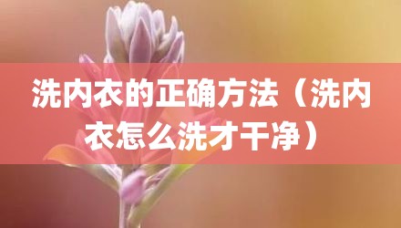 洗内衣的正确方法（洗内衣怎么洗才干净）