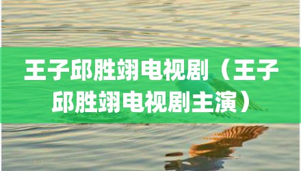 王子邱胜翊电视剧（王子邱胜翊电视剧主演）