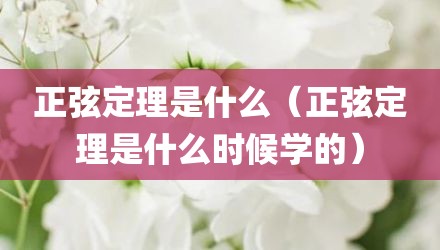 正弦定理是什么（正弦定理是什么时候学的）