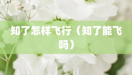 知了怎样飞行（知了能飞吗）