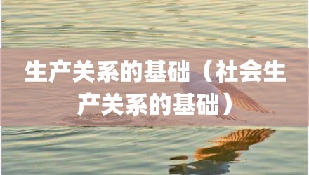 生产关系的基础(社会生产关系的基础)