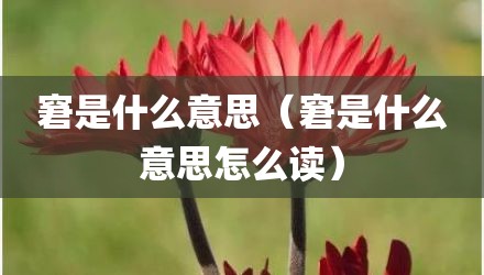 窘是什么意思（窘是什么意思怎么读）