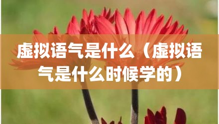 虚拟语气是什么(虚拟语气是什么时候学的)