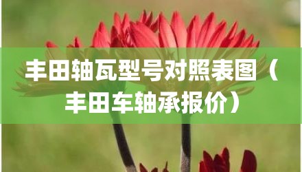 丰田轴瓦型号对照表图(丰田车轴承报价)