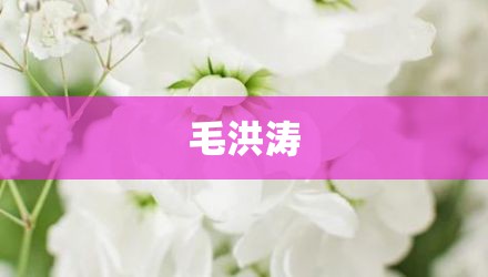 毛洪涛