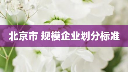 北京市 规模企业划分标准