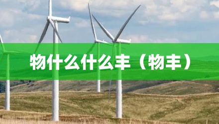 物什么什么丰（物丰）