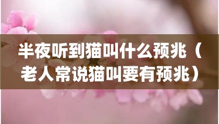 半夜听到猫叫什么预兆（老人常说猫叫要有预兆）