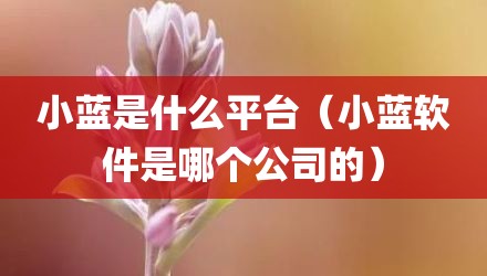 小蓝是什么平台(小蓝软件是哪个公司的)