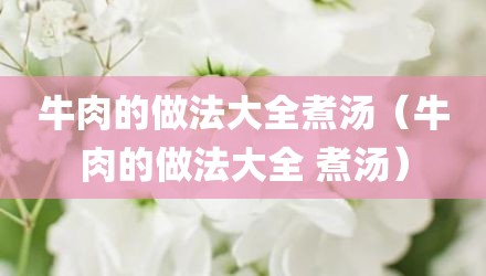 牛肉的做法大全煮汤（牛肉的做法大全 煮汤）