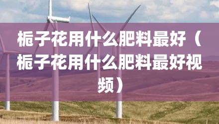 栀子花用什么肥料最好（栀子花用什么肥料最好视频）
