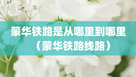 蒙华铁路是从哪里到哪里（蒙华铁路线路）