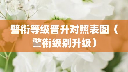 警衔等级晋升对照表图（警衔级别升级）