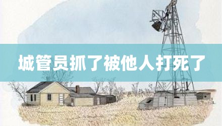 城管员抓了被他人打死了