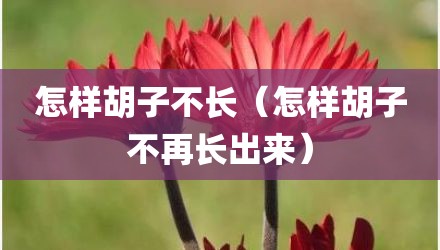 怎样胡子不长（怎样胡子不再长出来）