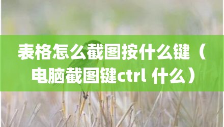 表格怎么截图按什么键（电脑截图键ctrl 什么）