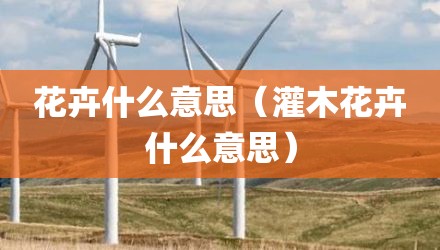 花卉什么意思（灌木花卉什么意思）
