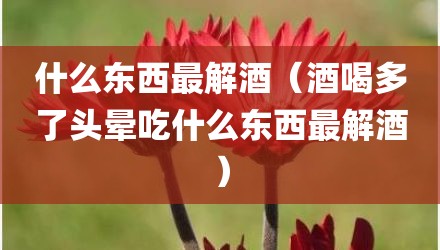 什么东西最解酒（酒喝多了头晕吃什么东西最解酒）