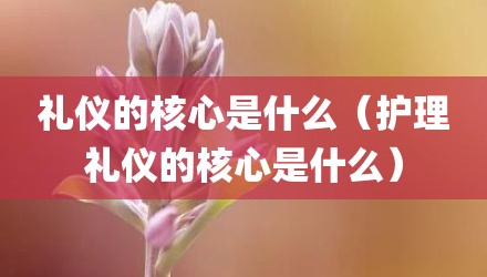 礼仪的核心是什么（护理礼仪的核心是什么）