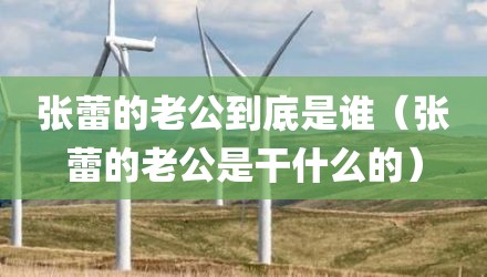 张蕾的老公到底是谁(张蕾的老公是干什么的)