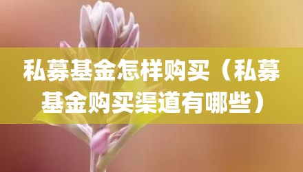 私募基金怎样购买(私募基金购买渠道有哪些)