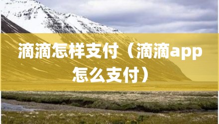 滴滴怎样支付（滴滴app怎么支付）