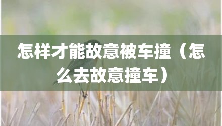 怎样才能故意被车撞（怎么去故意撞车）