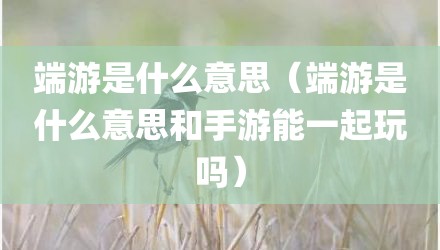 端游是什么意思（端游是什么意思和手游能一起玩吗）