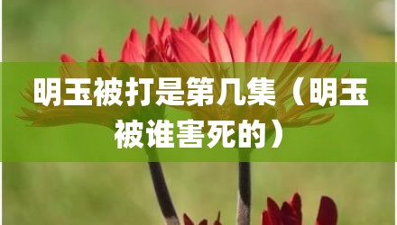 明玉被打是第几集（明玉被谁害死的）