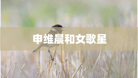 申维晨和女歌星