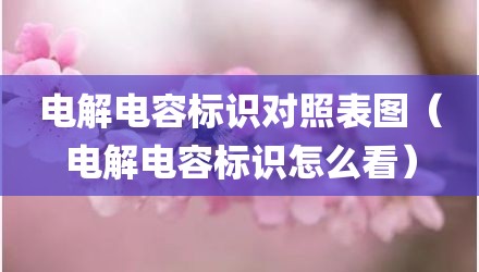 电解电容标识对照表图（电解电容标识怎么看）