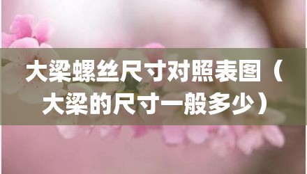 大梁螺丝尺寸对照表图（大梁的尺寸一般多少）