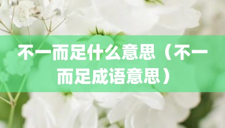 不一而足什么意思（不一而足成语意思）