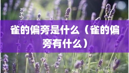 雀的偏旁是什么（雀的偏旁有什么）