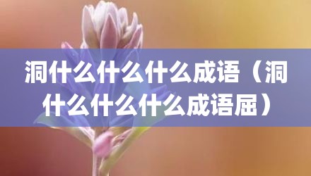 洞什么什么什么成语（洞什么什么什么成语屈）