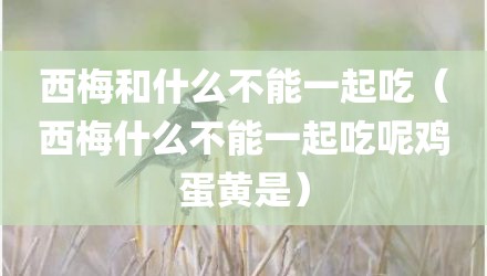 西梅和什么不能一起吃（西梅什么不能一起吃呢鸡蛋黄是）