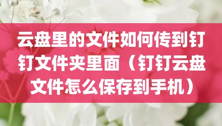 云盘里的文件如何传到钉钉文件夹里面(钉钉云盘文件怎么保存到手机)