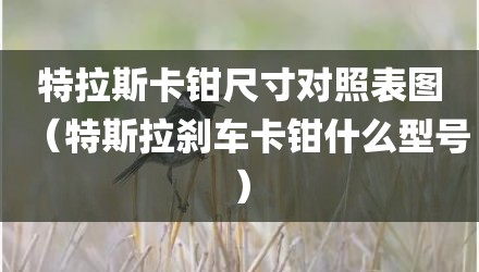 特拉斯卡钳尺寸对照表图（特斯拉刹车卡钳什么型号）